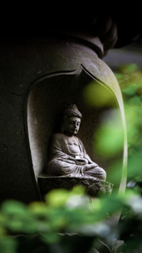 International Peace (20)