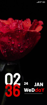 Red Rose Garden