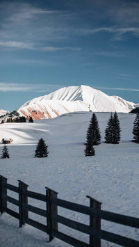 Winter Snow Country