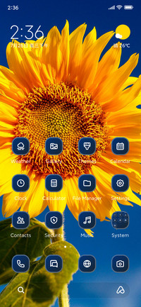Sunflower