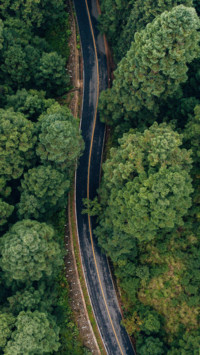 Straight road