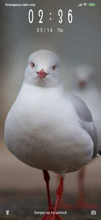 White Bird_3MDS