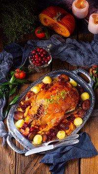 Funny Turkey custom of Thanksgiving 3