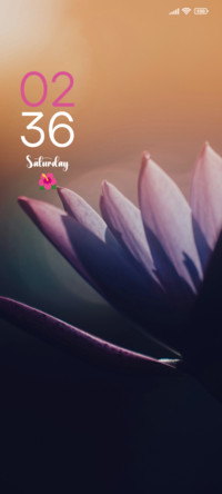 Macro Lily