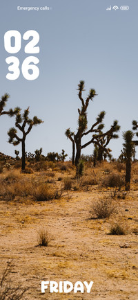 Dessert Trees