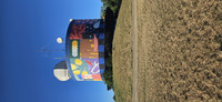 Colors in the field.jpg