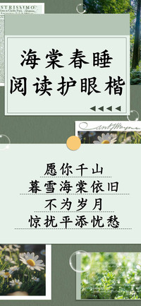 海棠春睡阅读护眼楷