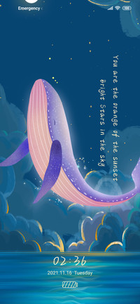 Galaxy whale
