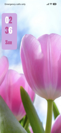 Pink Flowers