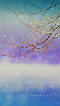 雪无痕