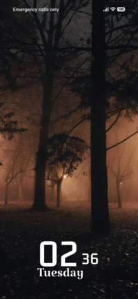 Mystic Woods