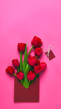 A Letter from Spring