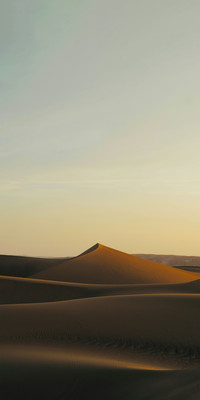Desert 6.jpg