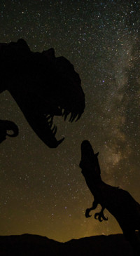 Dinosaur (3)