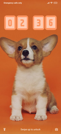 Curious Dog_3MDS