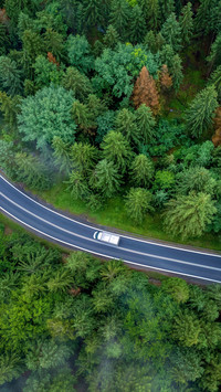 The fatal blind spot of automobiles
