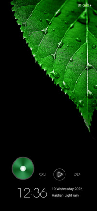 Amoled Oct