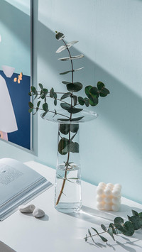 《小王子》