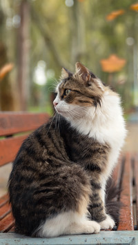 Cast his gaze to one side