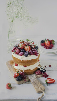 cake16