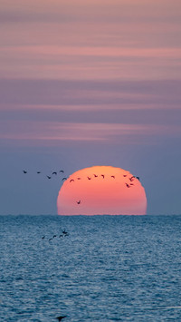 International-sunrise
