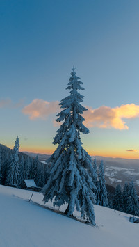Winter scenery-03