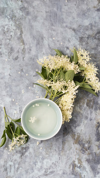暖冬花茶