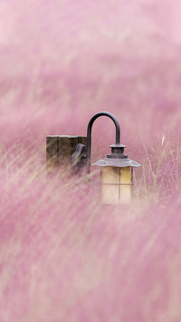 Stylish Lamp in Romantic Flower Field
