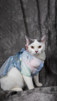 Cat9