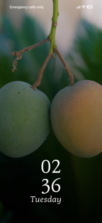 Twin Mangoes