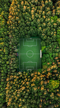 Aerial View of a Soccer Field in the Forest