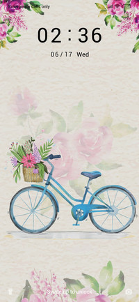BeautifulRide_3MDP