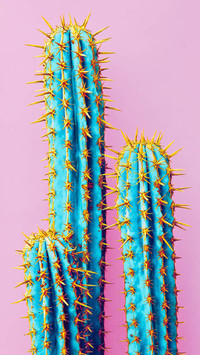 PAIXIN-plant (2)