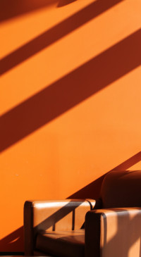 Rich Colors (21)