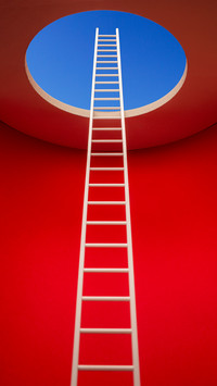 The ladder leading to the entrance of the cave