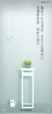 角落多肉