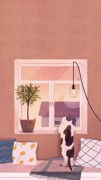 日常吸猫