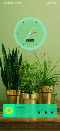 Plants On