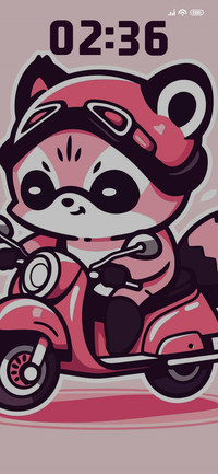 Raccoon