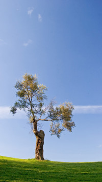 Natural scenery
