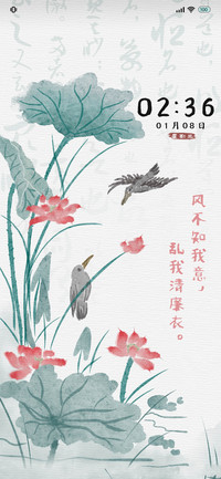 淡雅 莲