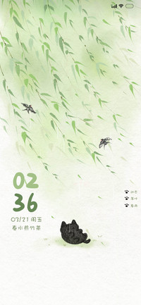 动态 绿竹小猫