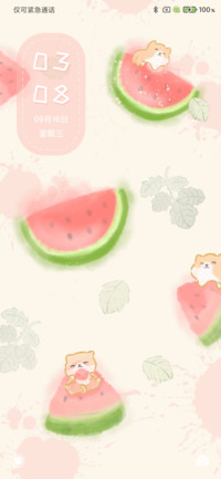 小奶狗啃西瓜