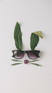 Minimalist Plants and flowers
