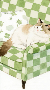 萌萌小猫来也
