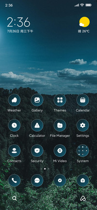 Night Sky