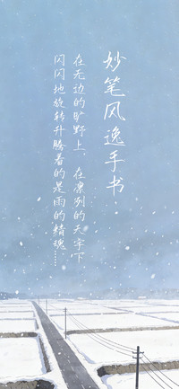 妙笔风逸手书