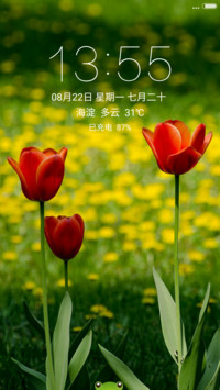 眨眼睛的青蛙在哪