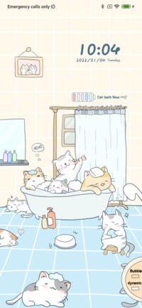 Cat's bathroom