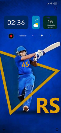 Cricket Ones